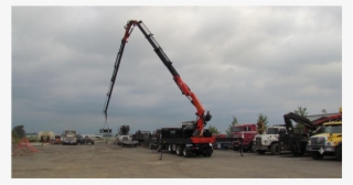 Cranes - Crane