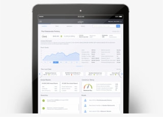 Black Ipad Advisors Consultants