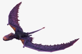 Dimorphodon Kibble - Dimorphodon
