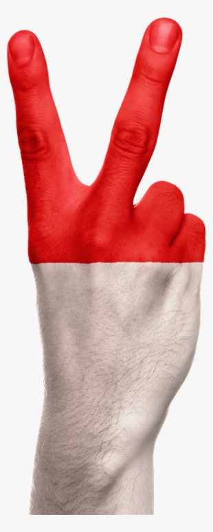 Bendera Indonesia Format Png