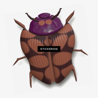 Ladybug Brown And Purple - Yellow