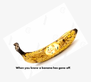 A Mancino-williams On Twitter - Twitter