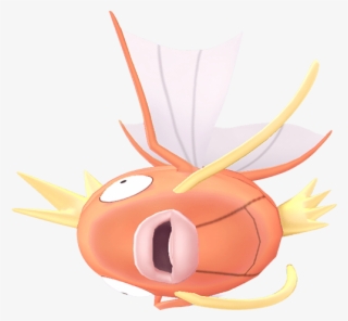 Le Site Officiel Japonais A Également Été Mis À Jour - Magikarp