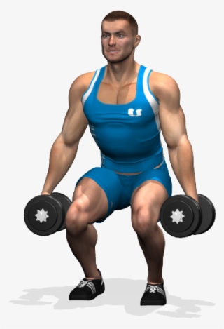 Dumbbell Squat Involved Muscles During The Training - Quadricipiti Manubri