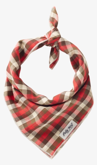 Ames Bandana Red - Billy Wolf Ames Bandana