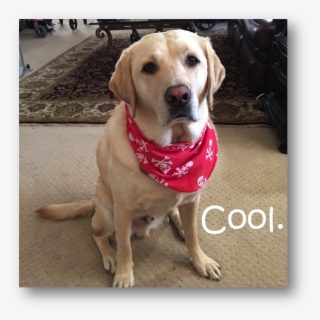 Image029 - Tas Laptop Wanita