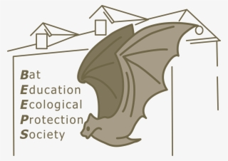Bat