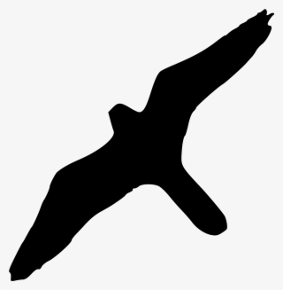 Open - Silueta De Halcon Peregrino