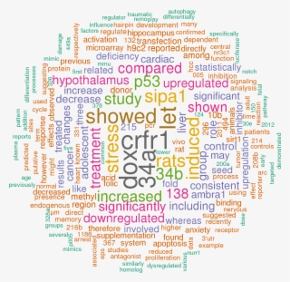 58 Open Access Papers Mention Rno Mir 34c