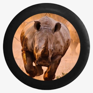 Great Big Canvas Rhino Learning To Fly Anvas Size: