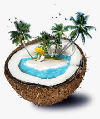 Denismorrow › Tropical Beach Lounge - Coconut Tree Theme