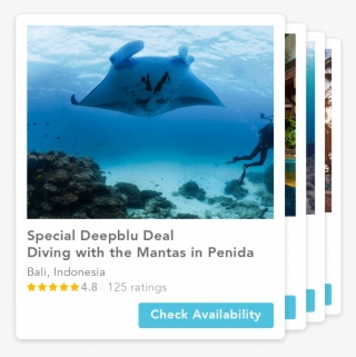 Manta Ray Png