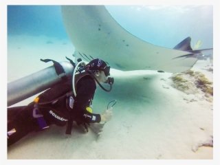 Dive Master Stephen Cunningham Of Dive Komodo With - Scuba Diving
