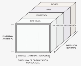 Modelo Multidimensional De Formulación Clínica - Formulacion Clinica Leonidas Castro
