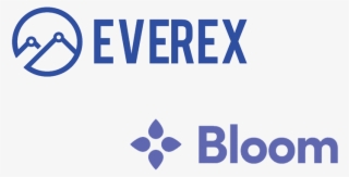 Blockchain Credit Scoring App Bloom Partners With Money - Accelerator Frankfurt Gmbh