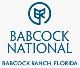 Logo Of Babcock National - June Is National Safety Month 2018