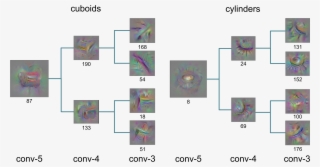 Hierarchical Cnn Features - Convolutional Neural Network