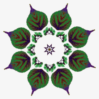 This Png File Is About Remix 239284 , Design , Plant