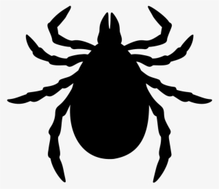 Fleas & Ticks - Ticks Cartoon