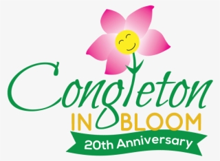 Thanks To A Tremendous Effort From Lots Of Local Groups, - Hurricane Season By Bj Phillips 9781942976127 (paperback)