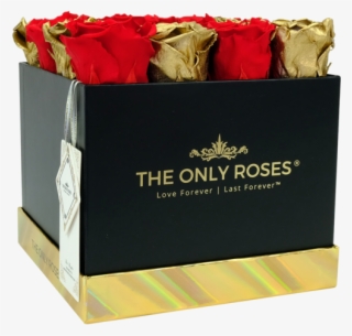 Red And Gold Preserved Roses - Rose