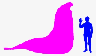 Southern Elephant Seal