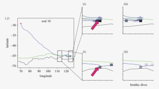 Movements Of 10 Post Moulting Elephant Seals Tracked - Diagram