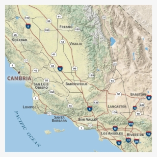 Elephant Seals Fight, Mate, And Sun Themselves Year - Road Atlas Map San Luis Obispo