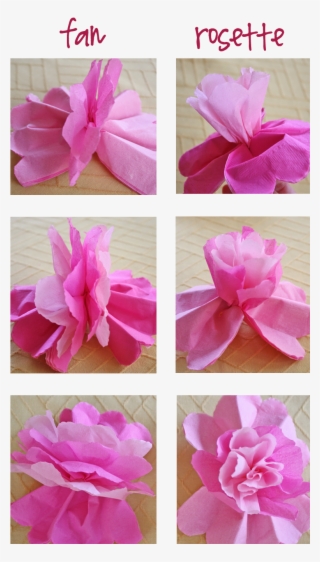 So, The Next Time You Want To Make Tissue Paper Roses - Gift Wrapping