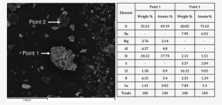 Sem Image Of The Indoor Dust Sample With Eds Compositional - Jobst