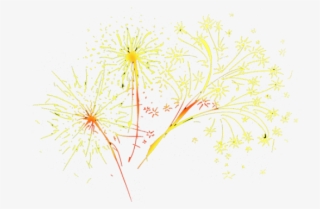 Fireworks - Dandelion
