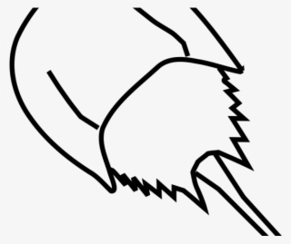 Horseshoe Clipart Upside Down - Horseshoe Crab Drawing
