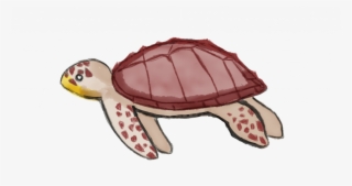 Loggerhead - Painted Turtle