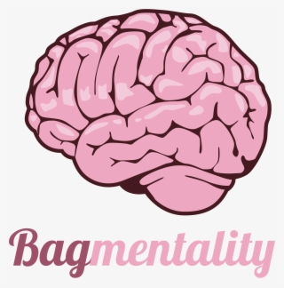 Bag Mentality - Kickstarter Campaign Timeline