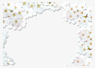 Apple Blossom Border Clipart Black And White - Png Spring Festival Background