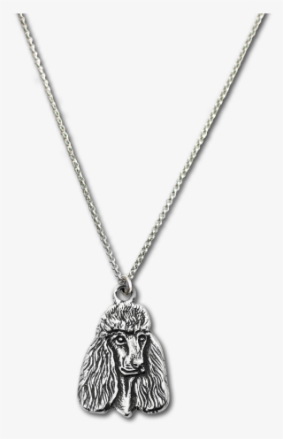 Poodle Charm On Rolo Chain - Necklace