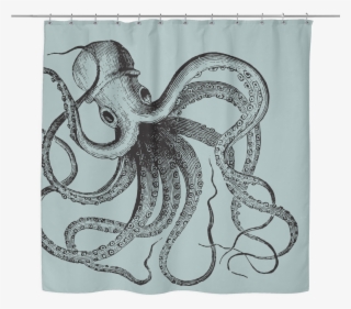 Image Library Download Curtains Drawing Sea
