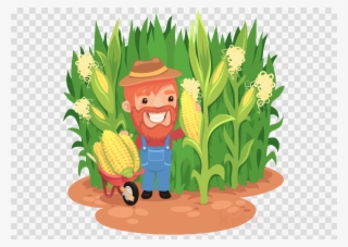 Cornfield Cartoon Clipart Field Corn Clip Art - Cartoon Corn Field