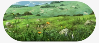 Field - Orange Lily