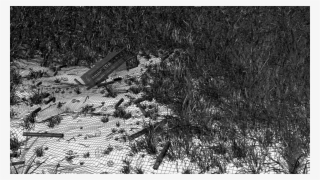 Grasfeld 12 Wire - Monochrome