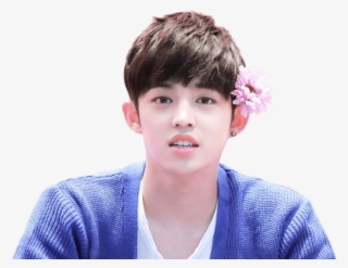 Seventeen Scoups Flower In Hair