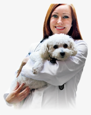 Veterinarian With A Canine Patient - Doctor With Dog Png