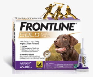 Product Box For Dogs Product Box For Cats - Frontline Gold For Dogs