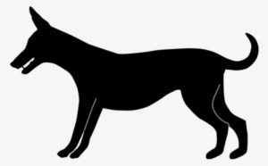 Dog Breed Cat Puppy Town Musicians Of Bremen - Town Musicians Of Bremen