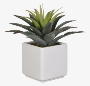 Artificial Star Succulent Desk Top Plant In Pot - Succulent In Pot Png
