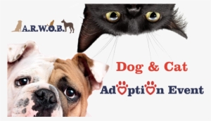 S2148ndexrihkc3y - Larva Migrans Toxocara Canis E Cati