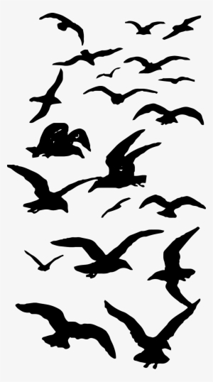Birds - Emerald Bar