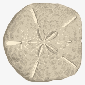 Jpg Freeuse Stock Dollar Big Image Png - Sand Dollar Clipart