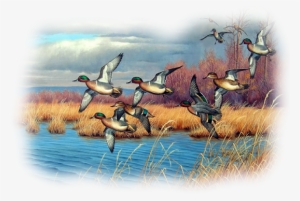 Bd-39 - Duck Season Throw Blanket