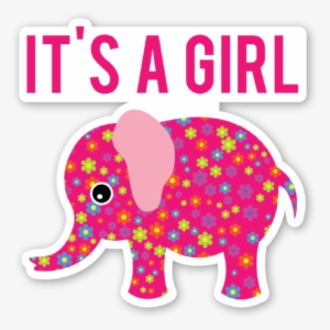 Elephant Baby Shower Its A Girl - Babyshower Its A Girl